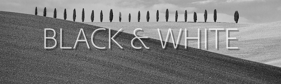 Black & White