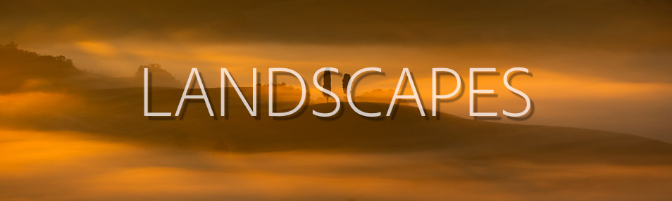 Landscapes