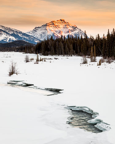 Rockies_130210_8514.jpg