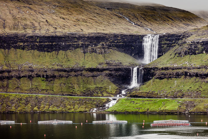 Faroe_150618_0585.jpg