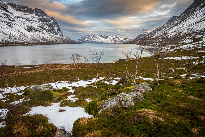 Senja_230215_9070.jpg