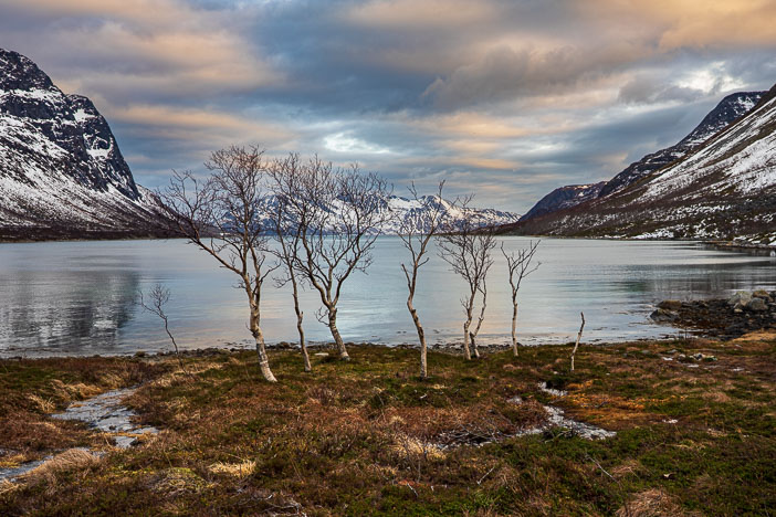 Senja_230215_9072.jpg