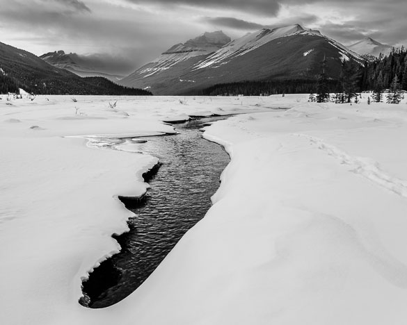 Rockies_130208_8097.jpg