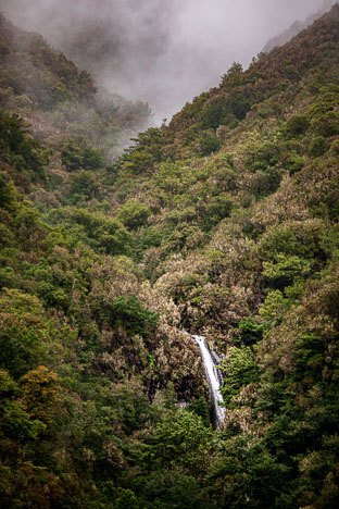Madeira_220315_9732_Edit.jpg