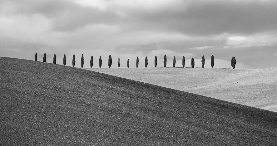 Tuscany24_241127_7634-Edit.jpg