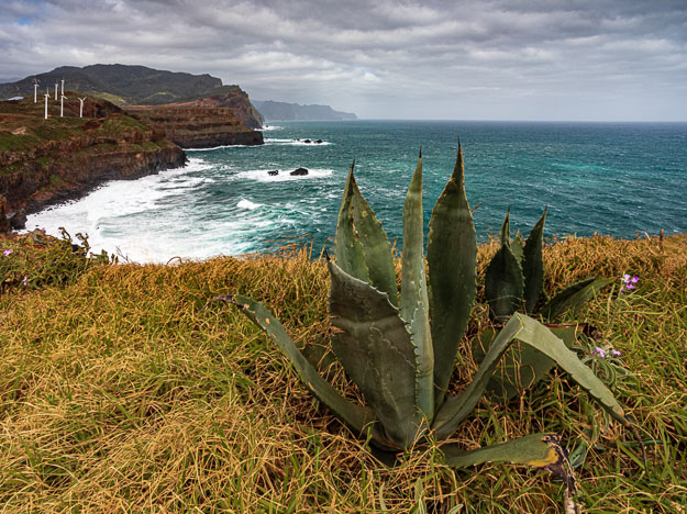 Madeira_220317_9981_Edit.jpg