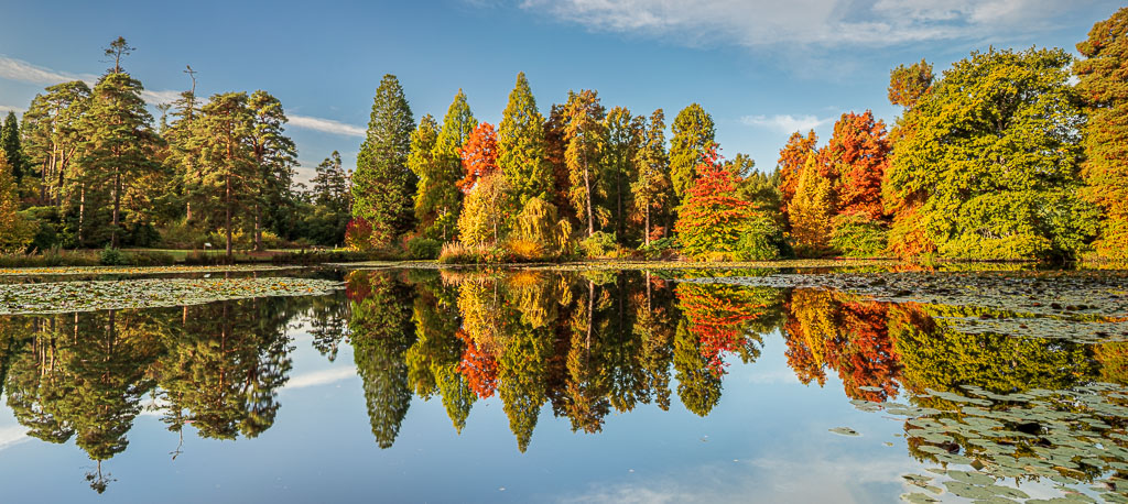 Bedgebury_221021_6672-HDR-Pano.jpg