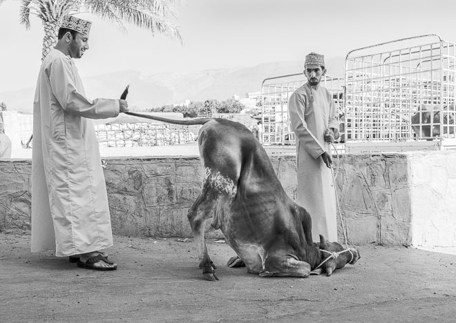 oman_101029_5836.jpg