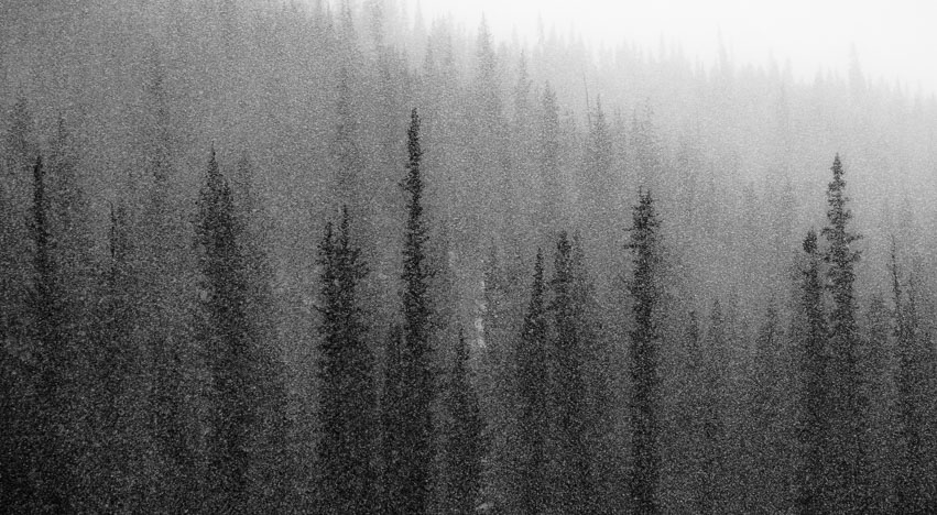 Rockies_130209_8182_v1.jpg