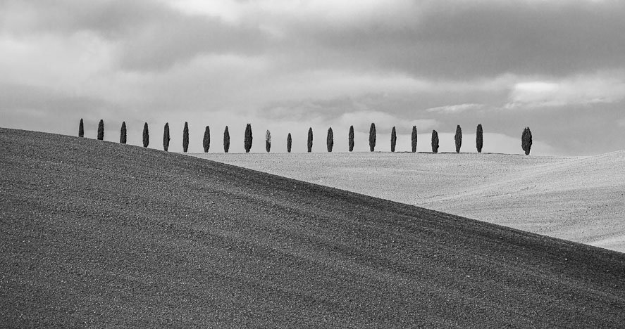 Tuscany24_241127_7634-Edit.jpg