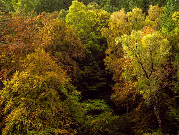 Pitlochry_261010_0398.jpg