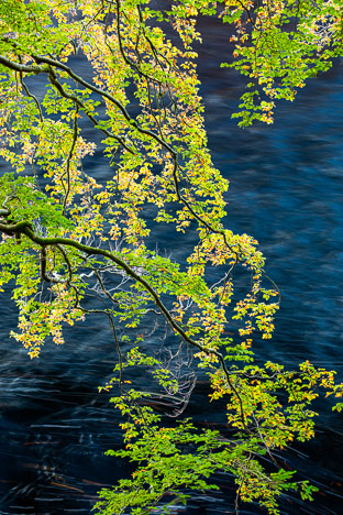 Pitlochry_261010_0427.jpg
