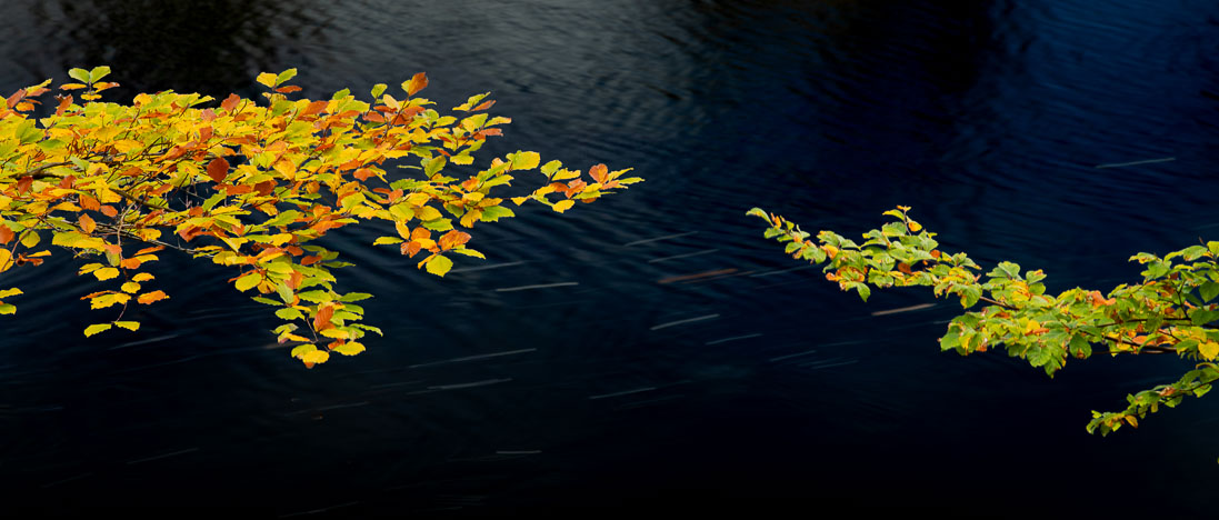 Pitlochry_261011_0496-Edit-2.jpg