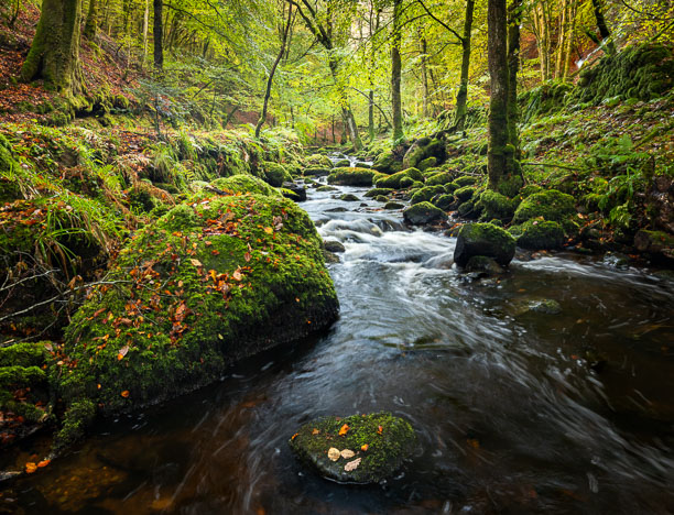 Pitlochry_261013_0663-Edit.jpg